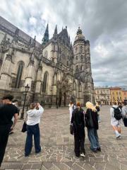 picture17